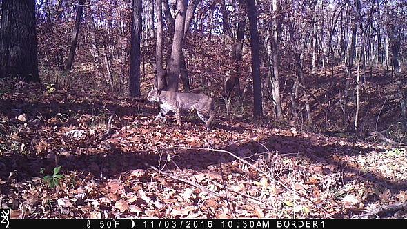 2016-11-03 IMG 0014