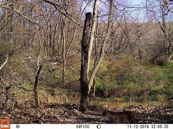 2016-11-12 11120231