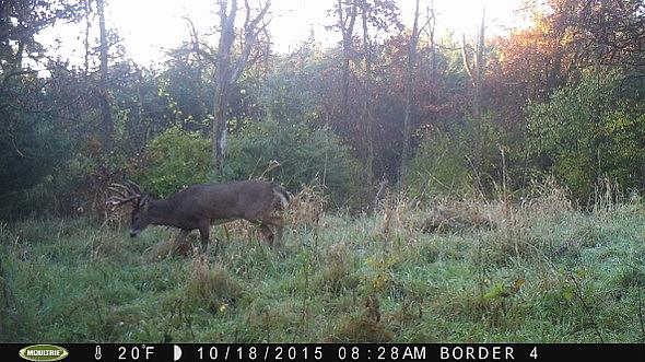 2015-10-18 PICT0452