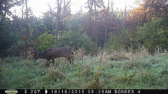 2017-11-23 PICT0452 (1)