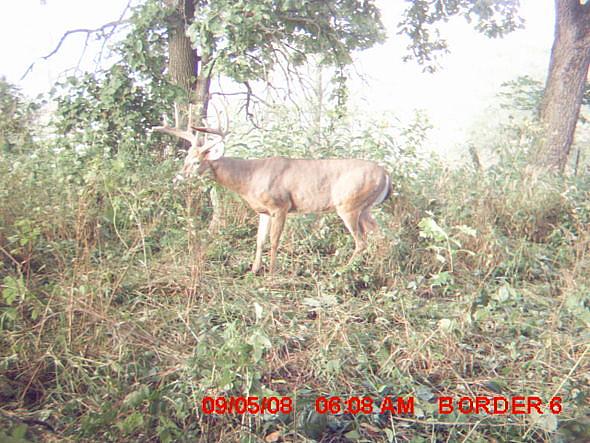 MDGC0016