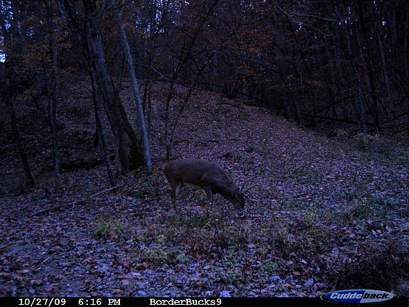 CDY_0039.JPG
