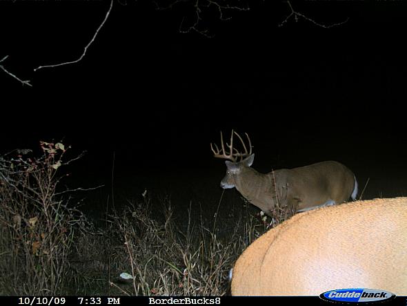 CDY_0056.JPG