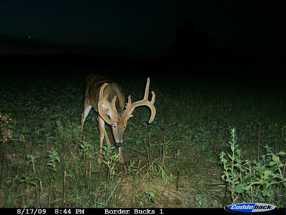 CDY_0061.JPG