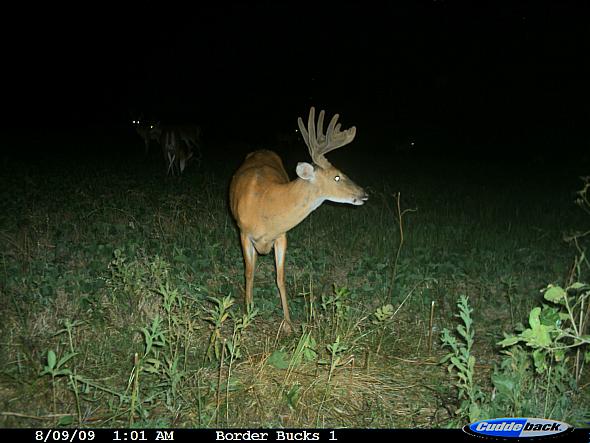 CDY_0161.JPG