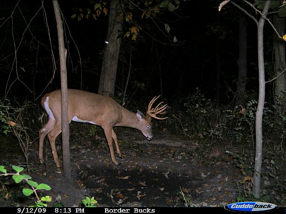 CDY_0230.JPG
