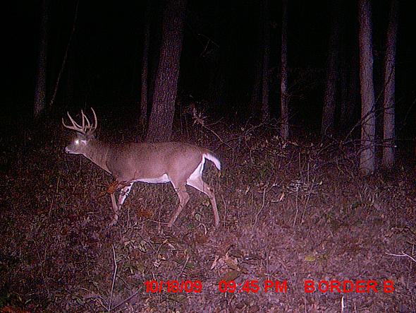 MDGC0011.JPG