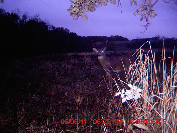 MDGC0017.JPG