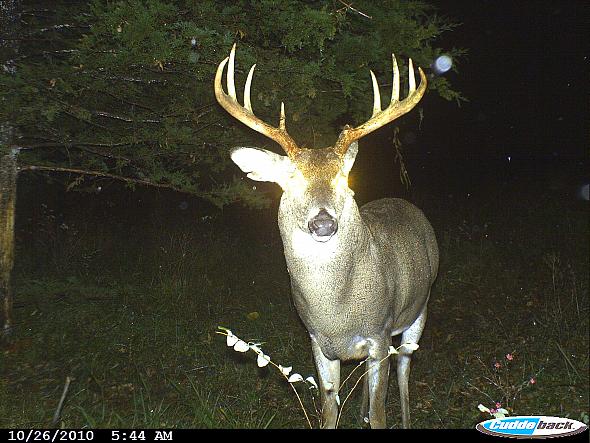 CDY_0003.JPG