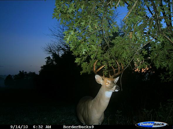CDY_0026.JPG