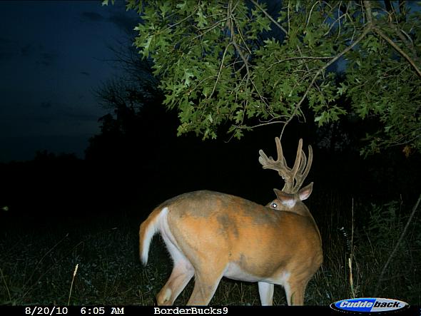 CDY_0061.JPG