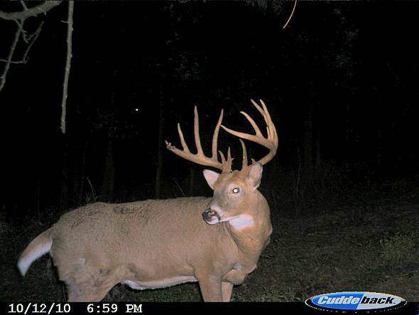 CDY_0079.JPG