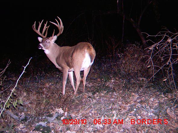 MDGC0022.JPG