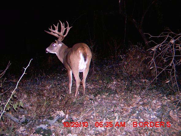 MDGC0024.JPG