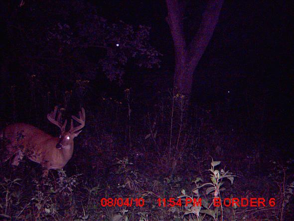 MDGC0025.JPG