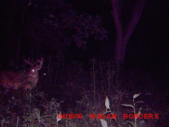 MDGC0026.JPG