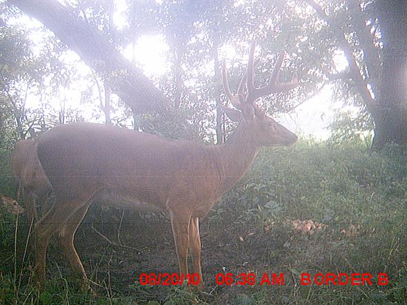 MDGC0215.JPG