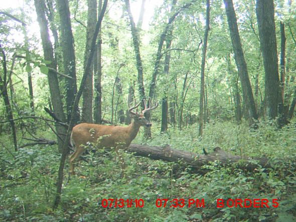 MDGC0311.JPG