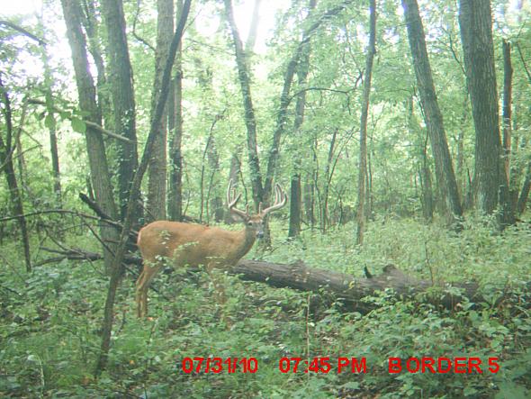 MDGC0329.JPG
