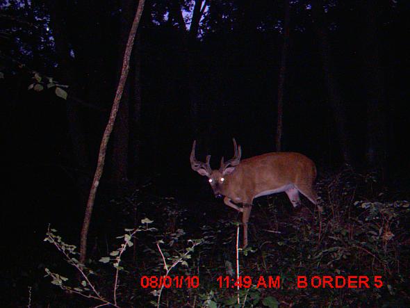 MDGC0389.JPG