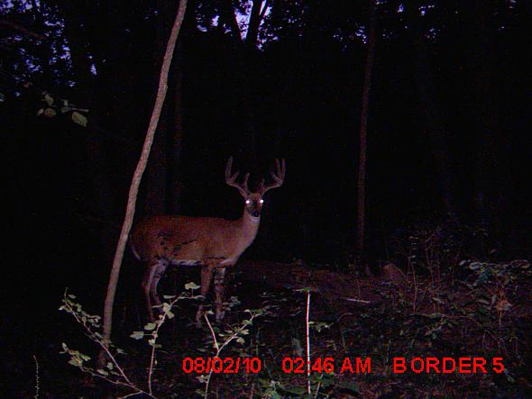 MDGC0442.JPG