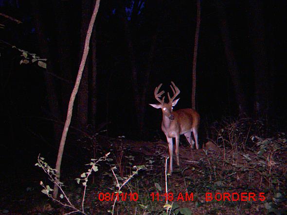 MDGC1073.JPG