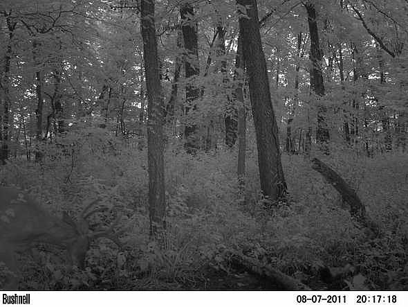 PICT0074