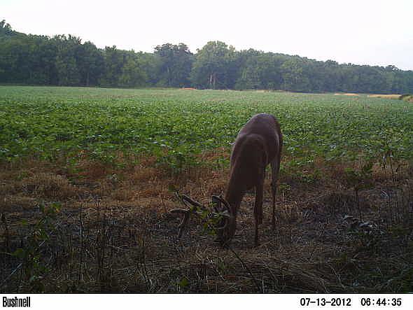 PICT0074
