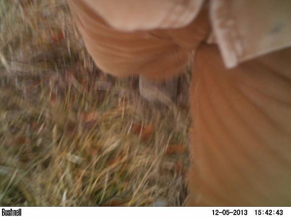 PICT0003