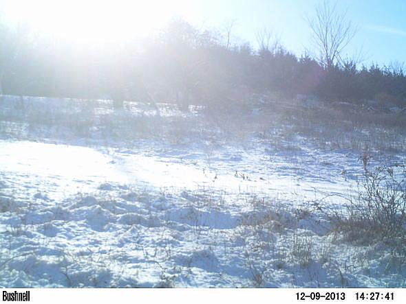 PICT0217-001