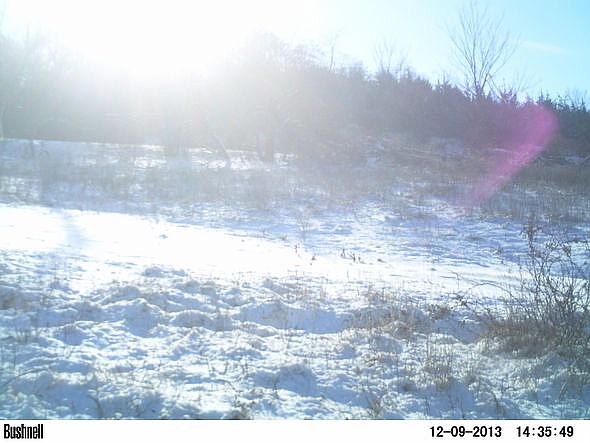 PICT0220