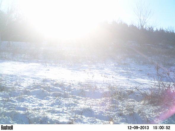 PICT0239