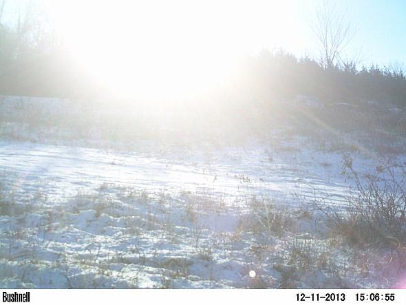 PICT0303-001
