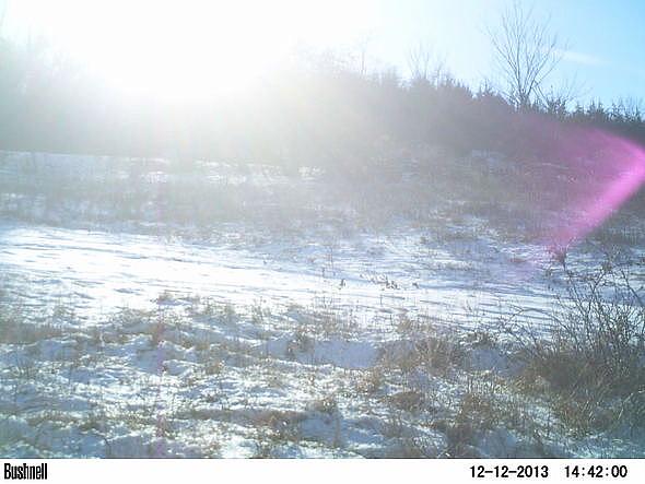 PICT0327