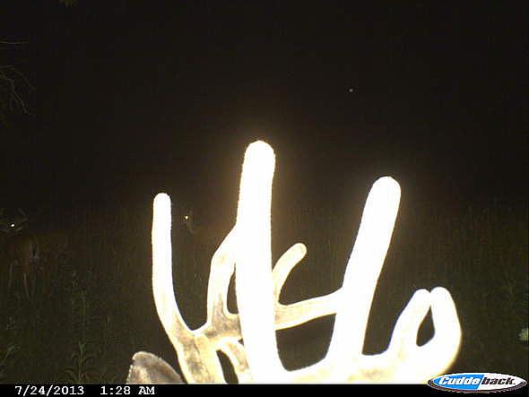 CDY 0016