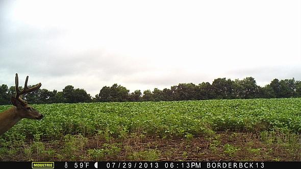 MFDC0249