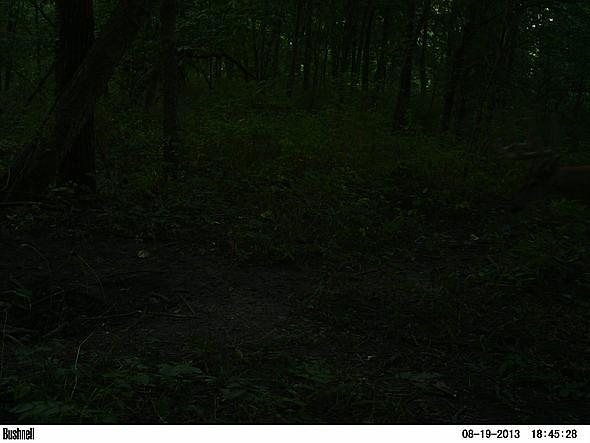 PICT0339