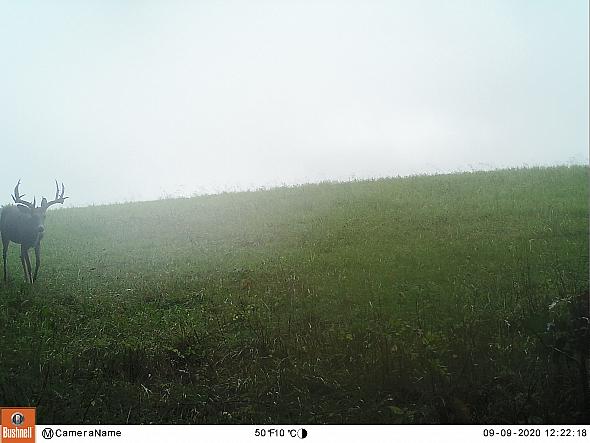 09090122