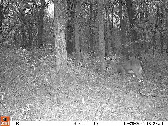 10280253