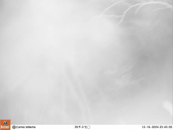 12160852