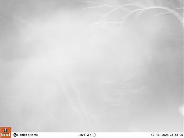 12160853