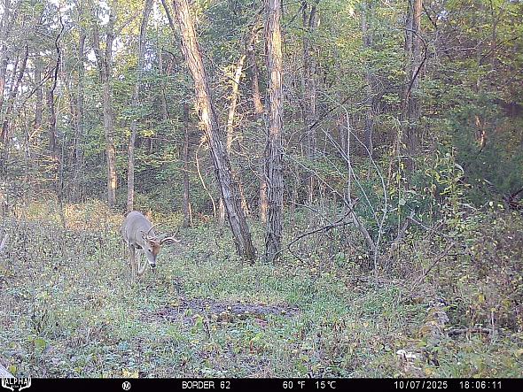 10070217
