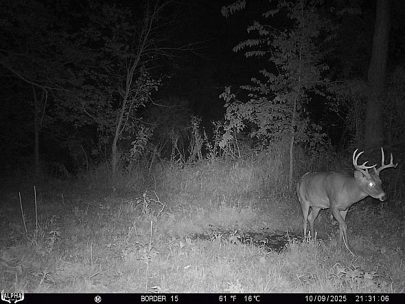 10090060