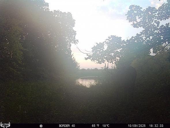 10090350