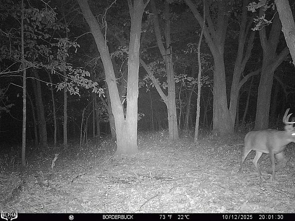 10120160