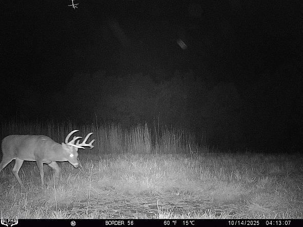 10140390
