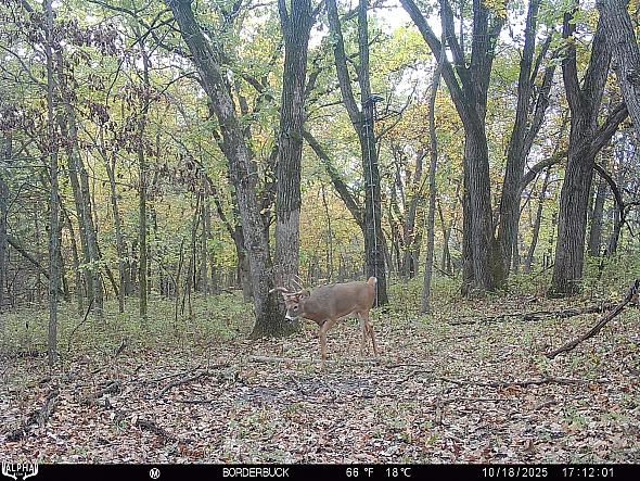 10180261