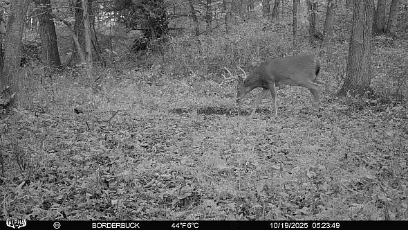 10190127