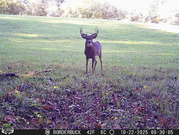 10220591