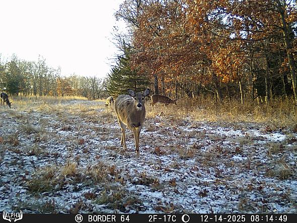 12140289
